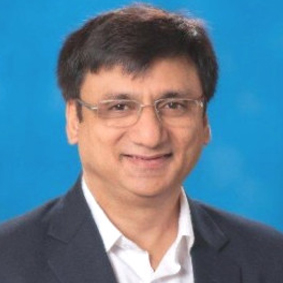 Mr Alok Malik
